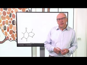 Density Functional Theory