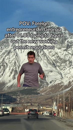 Navigating Work Permit Applications in Georgia