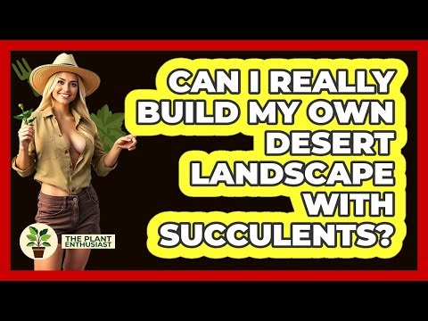Can I Really Build My Own Desert Landscape With Succulents? - The Plant Enthusiast