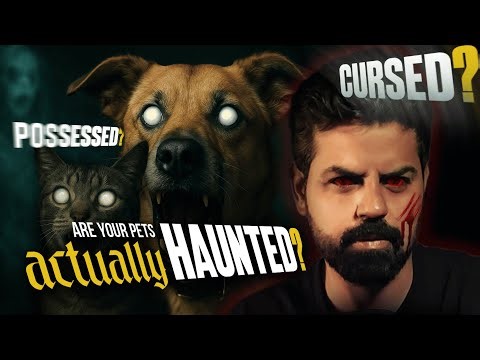 Are Your Pets Sensing the Paranormal? Pets and the Paranormal: The Hidden Link