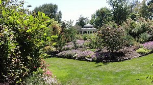 What should we consider when planting a shade garden? Think about the amount of sun, consider water and select the best plants for shade. To learn more click here for an informative video about shade gardening. | GardenSMART