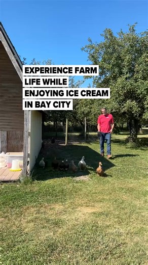 🔗:https://l.mlive.com/lnr3o7 Just outside Bay City, MI, The Farm at Apple Acres continues to grow as a family-friendly destination, offering 90 ice cream flavors, peaceful farm setting, and a chance to meet their new Highland cows Fergus and Fiona Rose. (Kaytie Boomer | MLive) | The Bay City Times
