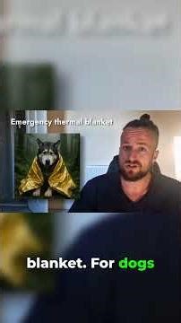 Build Your Dog's Emergency First Aid Kit on a Budget!