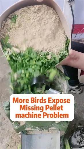 Sharry_poultryfarmchickencage on Instagram: "Electric Vs Diesel Pellet Machines In Ethiopia | Which Saves More Energy? 🔌 Electric Pellet Machines Energy Efficiency ~Electric pellet machines consume 15 to 25 kWh per ton of feed, making them energy-efficient for small to medium farms. ~They operate quietly and produce less pollution, improving farm working conditions. ~Operational costs are lower in areas with stable electricity, saving up to 30% compared to diesel-powered machines. ⛽ Diesel Pell