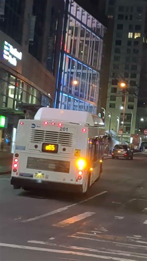 MTA bus Company 2011 New Flyer C40LF CNG #201 working the Q25 in Flushing.