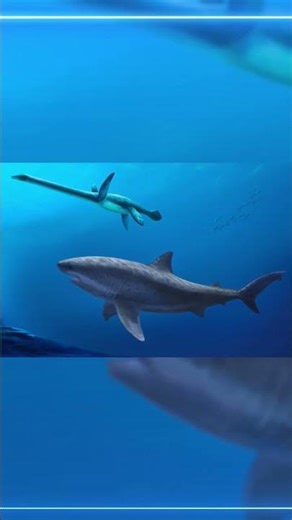 This MONSTER Shark Ruled the Ocean Before Megalodon 😱🦈