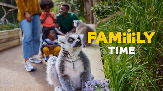 Family days out | London Zoo