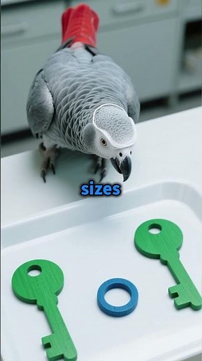 The Shocking Truth About Alex the African Grey's Language Skills