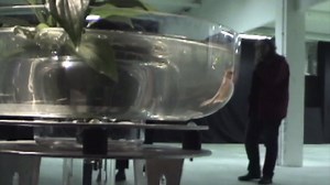 Augmented Fish Reality – Ken Rinaldo