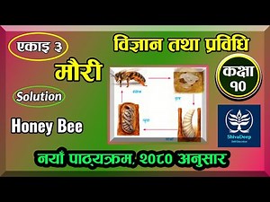 Class 10 | Science and Technology | Chapter 3 | Honey Bee