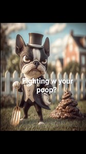 7 comments | When your yard’s residents start talking back…  That’s when you know it’s time for Backyard Butlers. Weekly, reliable, poop-free lawn service for The Woodlands, Magnolia, Spring & Tomball TX. #cleanbackyards #poopfreeyard #dogpoopcleanup #nwhoustonhomeowners #texasbackyardlife #petfriendlyservice #spotlesslawn #thewoodlandstx #magnoliatx #springtx #tomballtx | Backyard Butlers | Facebook