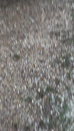 Mr. hands on (@mrhandson5)’s videos with original sound - Mr. hands on