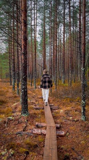 103 reactions | Walking through the forest in Finland feels like...