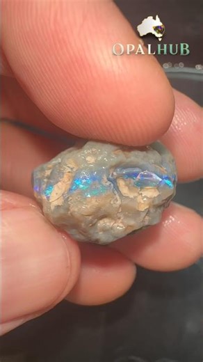 40ct Black Knobby Opal | Electric Blue and Green Bar | Lightning Ridge