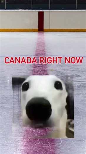 POV: the game is tied and 40 million people are currently on edge | Canadian Tire