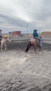 26K views · 652 reactions | Javas first ride. He was purchased at the local sale barn a few months back. Rode in the ring, owner took him home and couldnt ride him safely. So pretty much a restart and help him gain his confidence. | Lucia Lhotak Performance Horses | Facebook