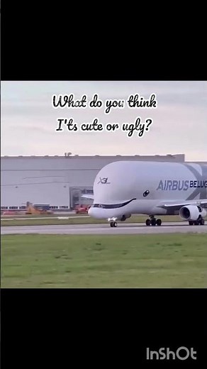 Airbus Beluga 🦈 #airplane #aviation #aeroplane #automobile #takeoff #landing #highwing #aircraft
