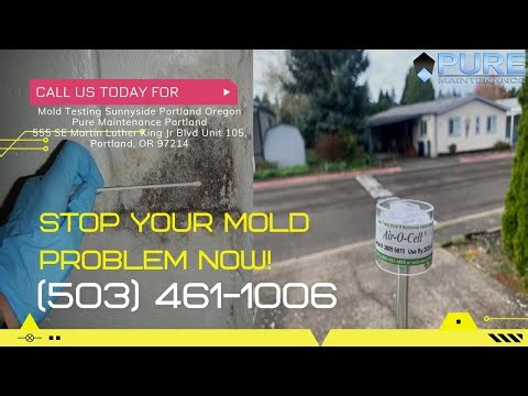 Mold Testing Sunnyside Portland Oregon - Pure Maintenance Portland - 503-461-1006