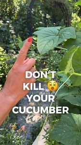 65K views · 8.9K reactions | It’s all about the climb, y’all 勒...