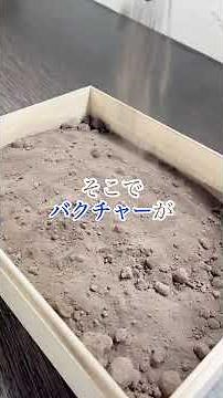 バクチャーが変える、日本の排水問題 Vol.6
