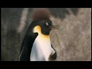 Surf's Up Clip 8