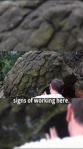 🗿Giant ancient turtle inspected by archaeologist for tool marks. #Archaeology #AncientCarvings #Prehistory | History Fuzz