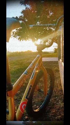 bmx на TikTok