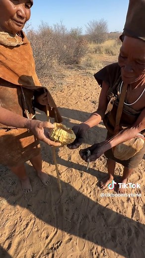 Exploring the Khoisan: Earth's Oldest Indigenous Tribe