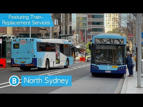Transport for Sydney Vlog 490: North Sydney Buses - Featuring Train-Replacement Services