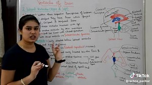 #ventricles of brain...... choroid plexus/structure/locations/functions......