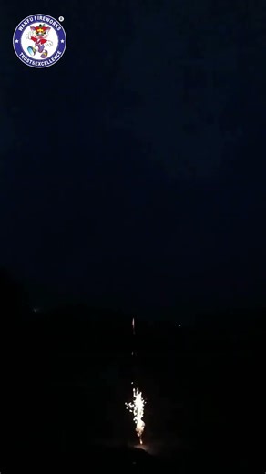 #fireworkssupplier #singleshots #pyrotechnica #batteries #pyro #thunder