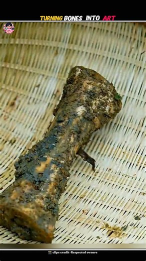 Bones Transformation Into Art 🎨#shorts #facts #factoholic