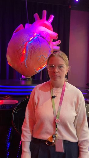 It's American Heart Month! Did you know your heart can grow and adapt- watch to learn more about the size of your heart! 🫀 #TheHealthMuseum #HealthEducation #HealthLearning #HeartHealth #AmericanHeartMonth | The Health Museum