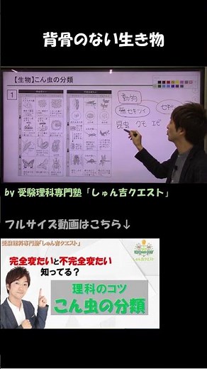 【理科のコツ「こん虫の分類」】昆虫って変身する生き物です【受験理科専門塾しゅん吉クエスト】
