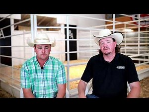 Byergo Angus, SmartFeed Preview