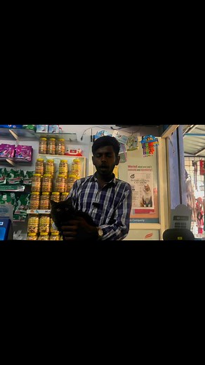 Contact number 7731963885. #persiancatsofinstagram #persian #viralrells #viralreels #cat #petcare #petshop #viralvideochallenge | Hyderabad exotic pets