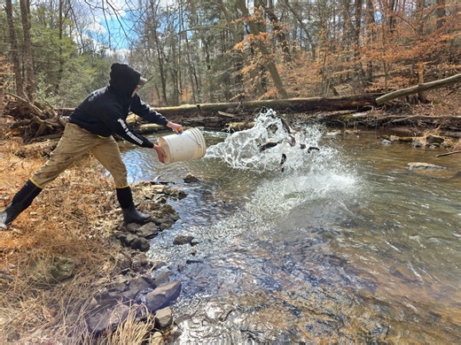 Pennsylvania plans spring trout stocking dates