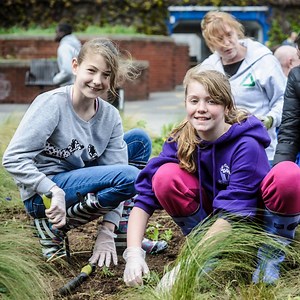 9.3K views · 65 reactions | This Spring create a wildflower patch at your school or workplace with one of our free seed kits. Hurry before applications close!  | Grow Wild | Facebook