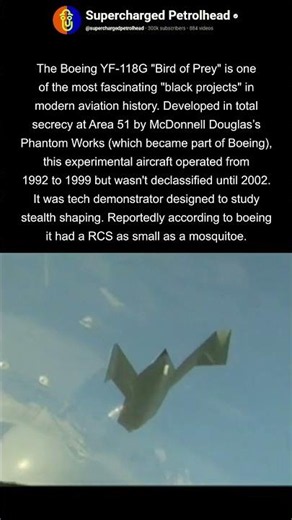 Boeing YF-118G bird of prey