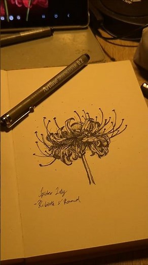 how to draw a flower - red Spider Lily #shorts #art #sketching #spiderlily #sketchbook