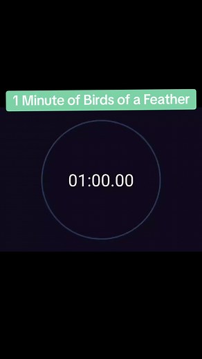 1 Minute Countdown: Birds of a Feather