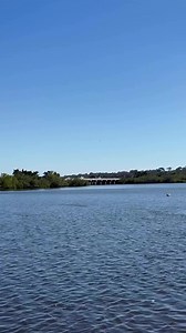 What better way to see dolphins than in the wild from the vantage point of a clear kayak?! 🐬 Only 14 minutes away from Daytona get away from the crowds and experience spring break with Mother Nature in New Smyrna Beach🌴 | Get Up And Go Kayaking