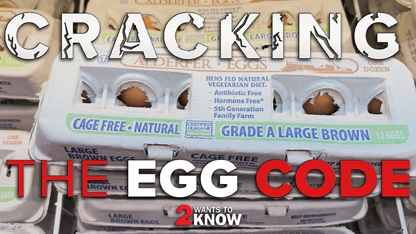 Cracking the code on egg labels