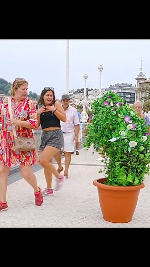 282K views · 4.7K reactions | Funny Reactions by Bushman Prank #hombrearbusto #bushmanprank #videosgraciosos #funnyvideos #bushman #humor #prank #latinos #prankvideo #funny | Alex Troy Official | Facebook