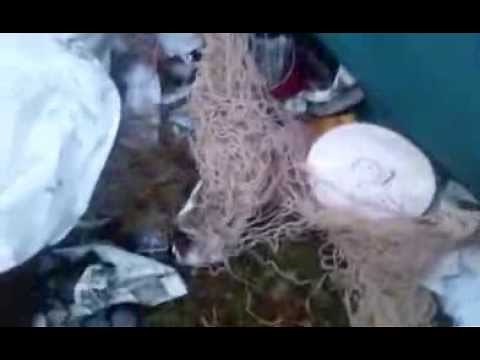 How To Do Spanish Hair Braid