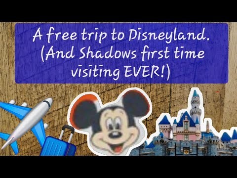 A Sonic Story at Disneyland