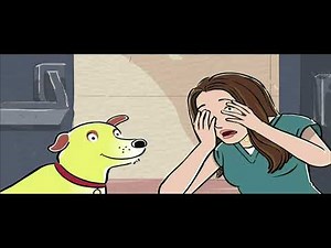 PBS Kids Program Break {Partial w/ National Feed Error} (KQED; SD; 12-28-2021)