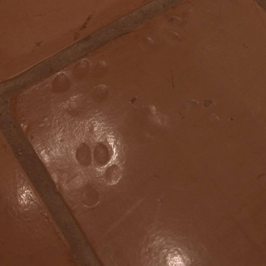 If you’re ONLY looking at the walls when you visit The Wittliff Collections, you’re missing out! Next time you’re on the 7th floor of Alkek Library, Texas State University, take some time to explore the tiles… | Texas State University