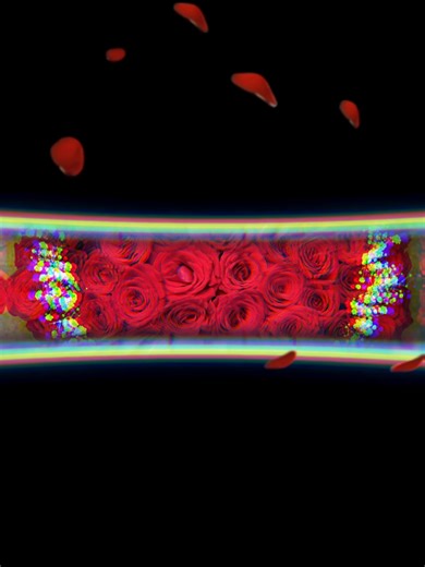 Love speaks in red ❤️ Sweet Flowers Red Rose Bouquet and Arrangemnt#flowers #flowerarrangement#redroses #red#sweet flowers#flowerinaddis #creatorsearchinsights ያሉበት እናደርሳለን ይደውሉ 📞 0948111113 0929346163 📌ለቡ ሙዚቃ ቤት አሹ ስጋ ቤት ጎን