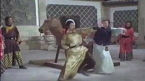 Dövüşçü İmparator - The Kung Fu Emperor (1981)